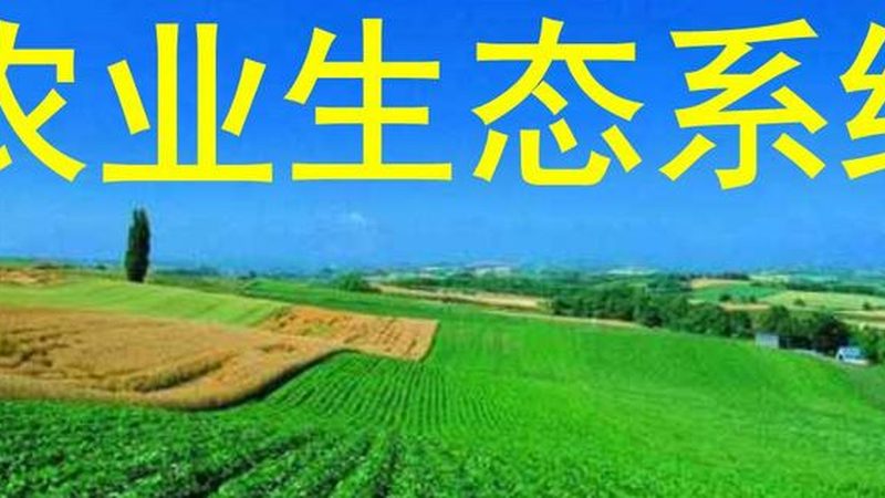 农业种植地块报价影响因素探析**