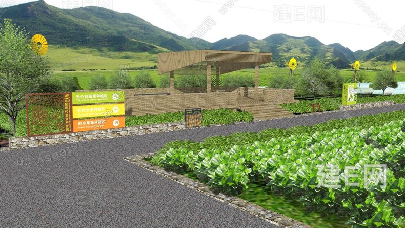 蔬菜基地的土壤正在经历一场无声的透支