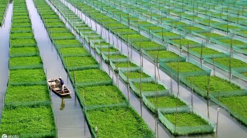 移动式大棚骨架：农业设施升级的关键**