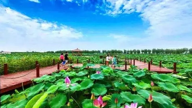 生态农业公司合作流程揭秘：如何选择合适的合作伙伴