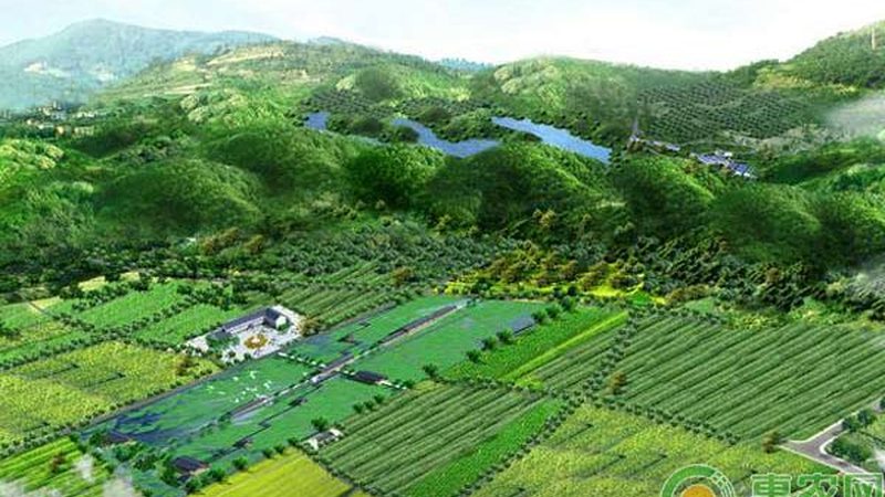 农田土壤质量新规落地，你的地达标了吗