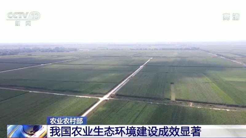 农民专业合作社注销清算组职责详解