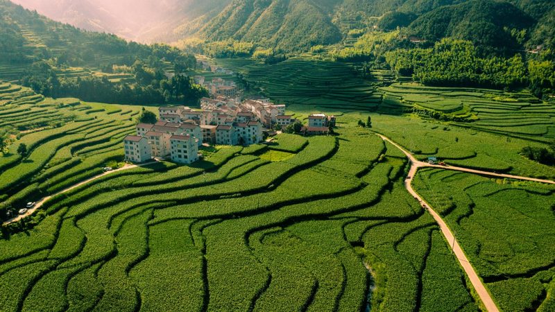 休闲农业节庆活动价格