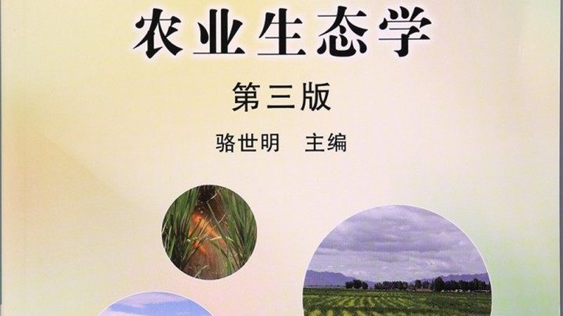 有机蔬菜礼盒定制的秘密：品质溯源与绿色生活