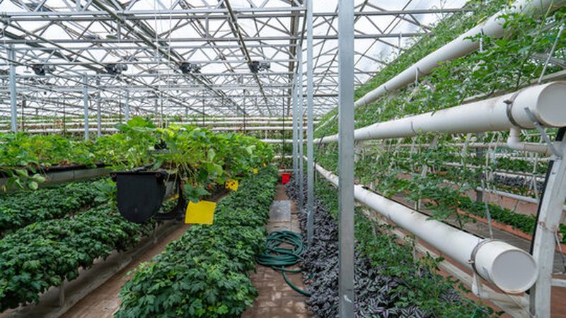 农业种植新技术的选择：如何科学评估与选型