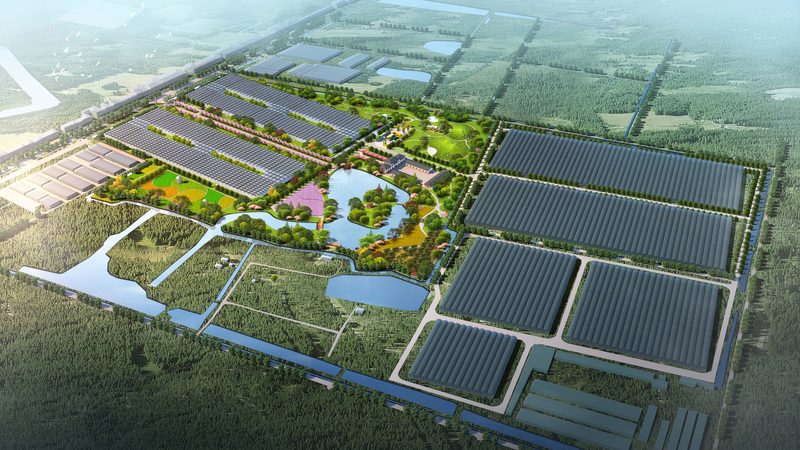 上海周边休闲农业基地的优与劣