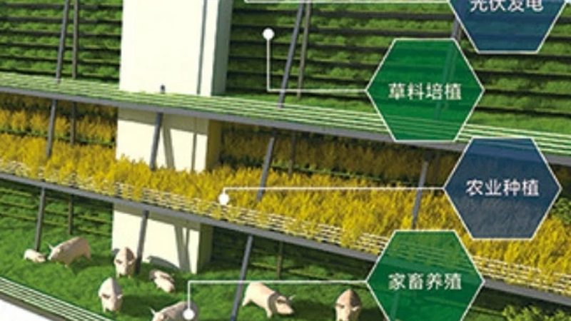 蔬菜配送车：批发市场的物流新宠**