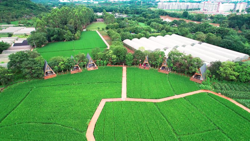 水源选择：种植地块的“生命之源”**