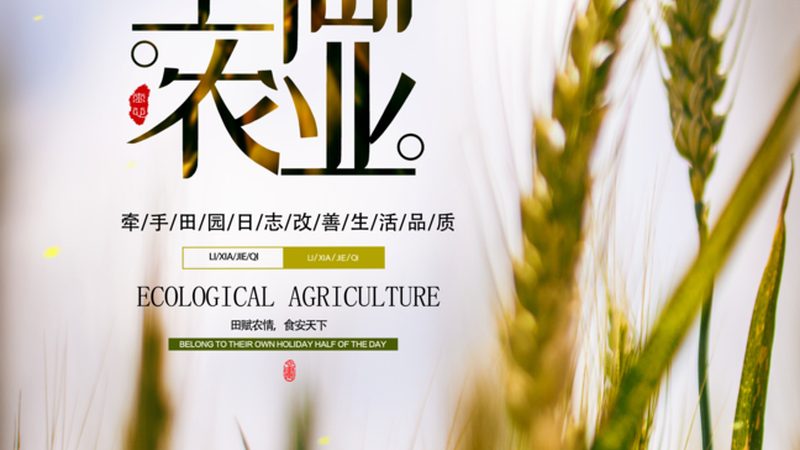 智慧农业种植系统：引领未来农业发展的十大品牌解析